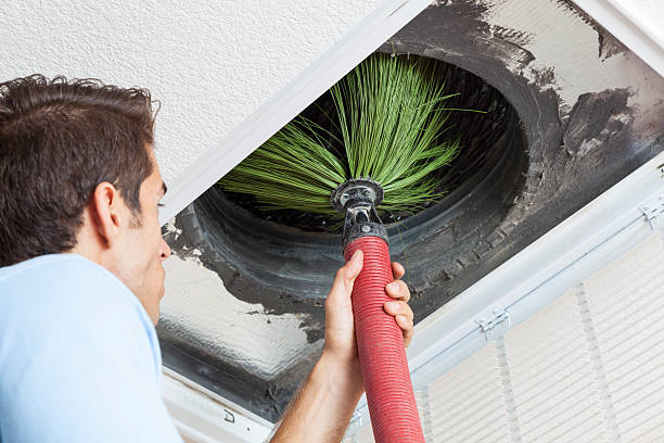Best Professional Duct Cleaning Services  in Bismarck, ND